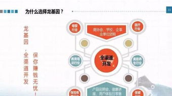 龍基因加盟 實(shí)體店培訓(xùn)成就火爆加盟店，教育信息咨詢助力創(chuàng)業(yè)成功